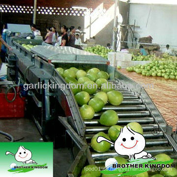 Großhandel frischen Honig Pomelo in niedrigen Preis Porzellan Pomelo